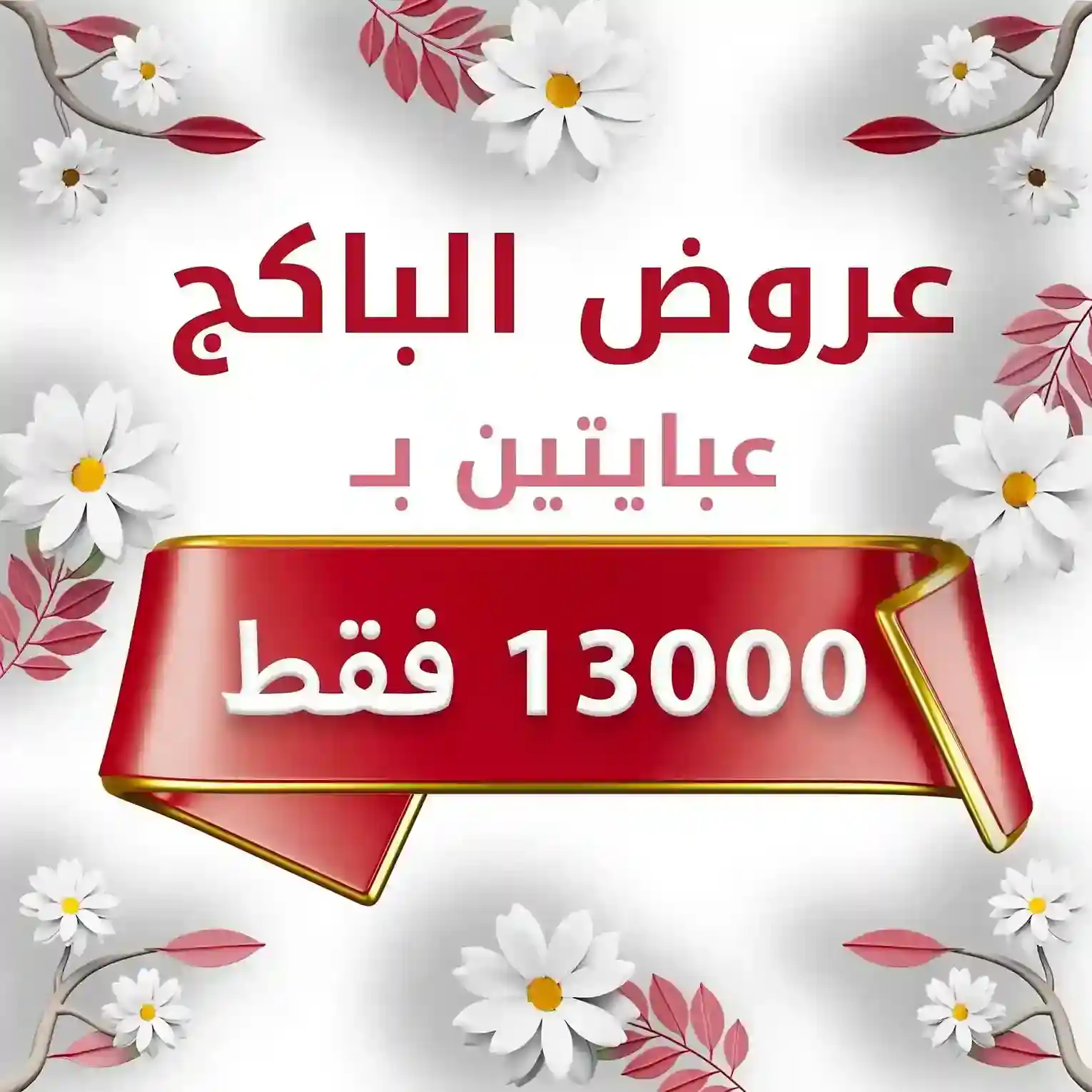 باكجات